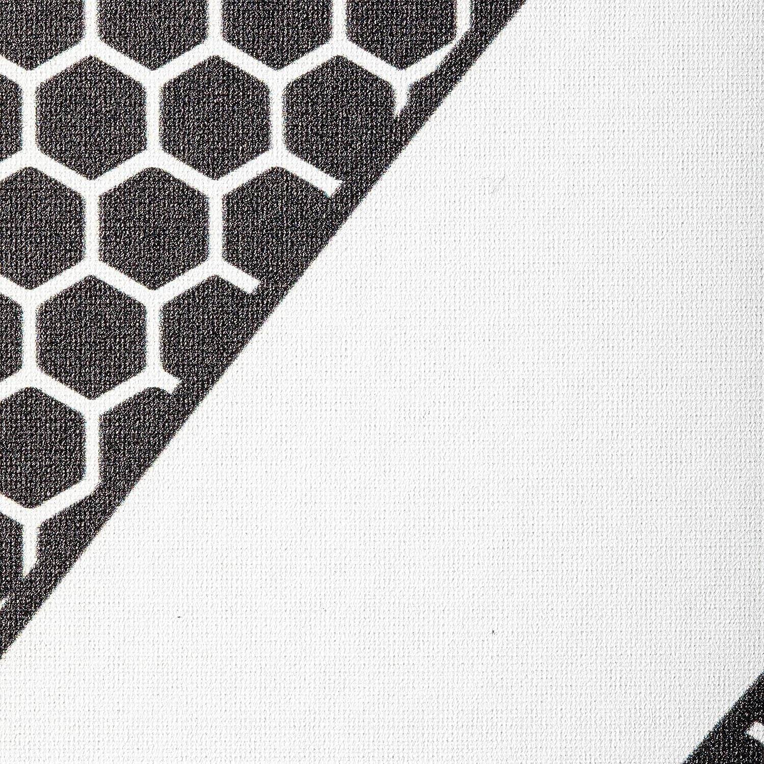 Graphite MOD Z5 Carbon Fiber Pickleball Paddle - Wide-Body Design, Honeycomb Core, Graphite Face, and Cushioned Grip